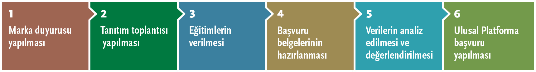 Başvuru Sürecinin Adımları